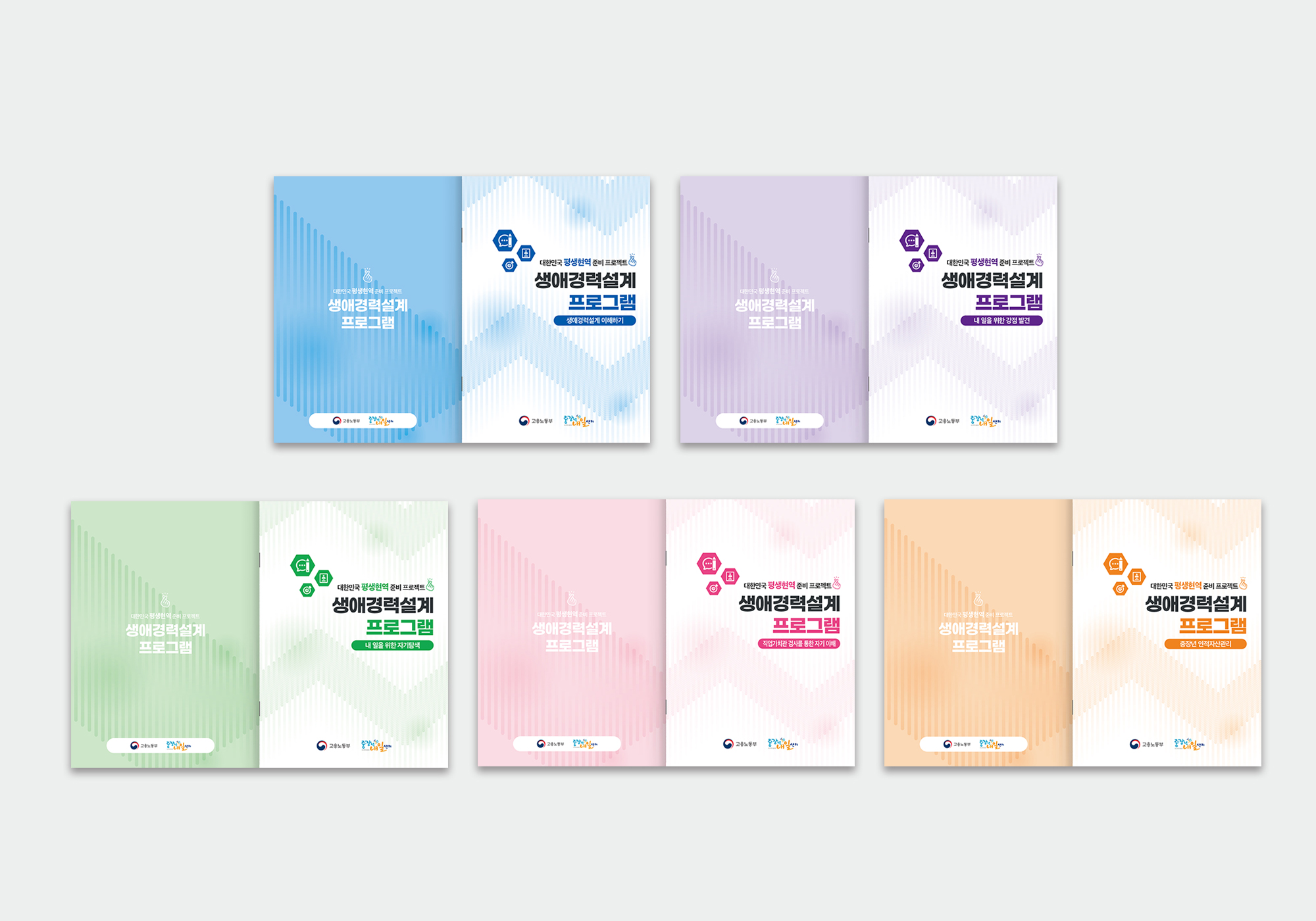 생애경력설계 이해하기 5종